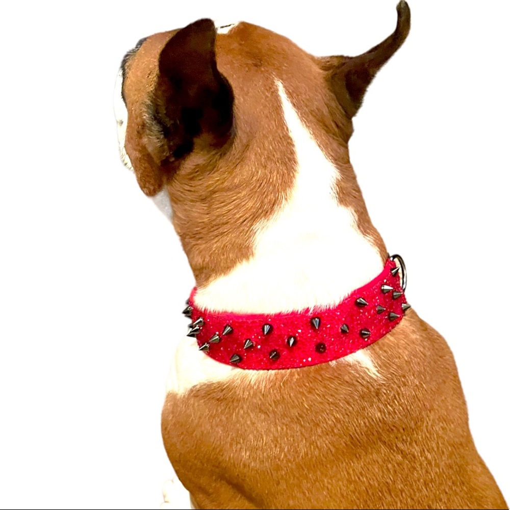 Lavish Ladybug Collar